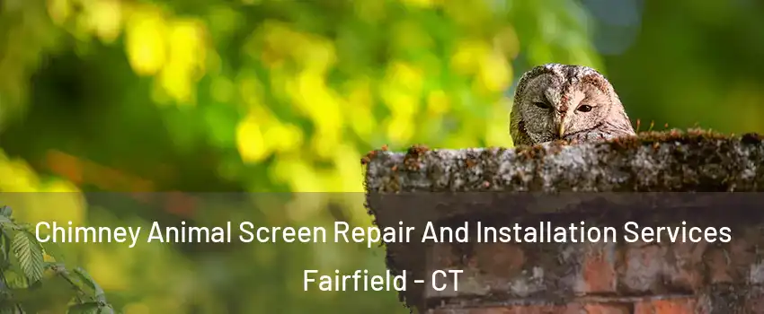  Chimney Animal Screen Repair And Installation Services Fairfield - CT