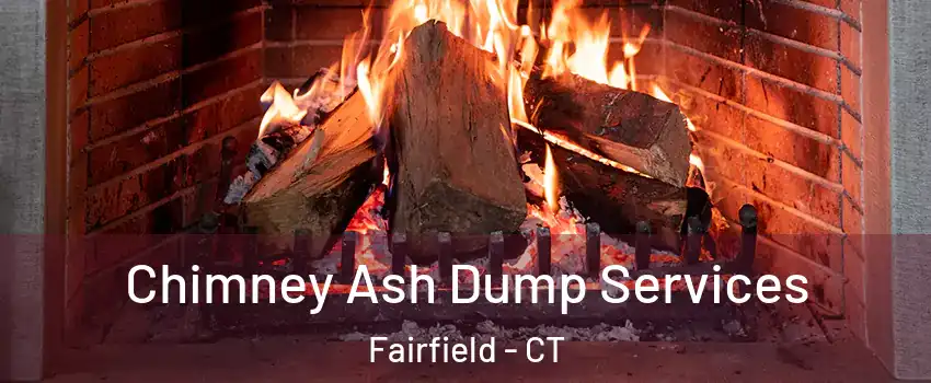  Chimney Ash Dump Services Fairfield - CT