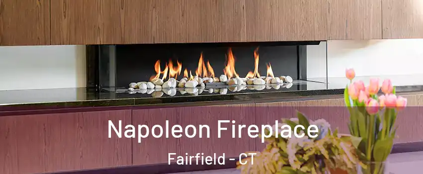  Napoleon Fireplace Fairfield - CT